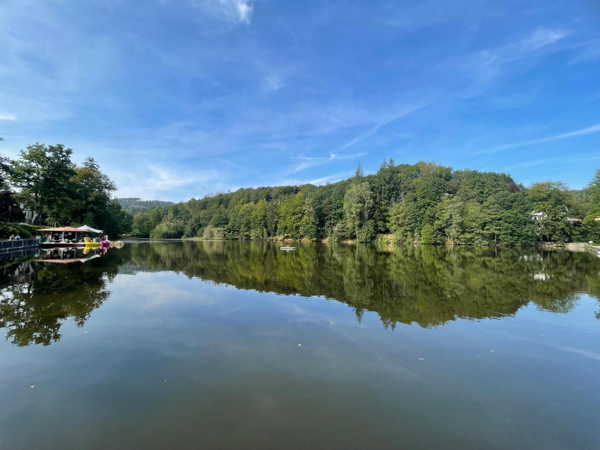 Ferienappartment "Kleine Waldpause" - Optional Mit Saunanutzung Bad Sachsa Kültér fotó